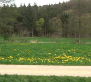 Eiszeitpfad - Burgfelsenpfad