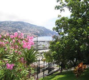 Blick auf den Hafen von Funchal