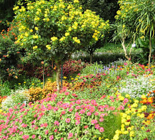 Blumeninsel Mainau