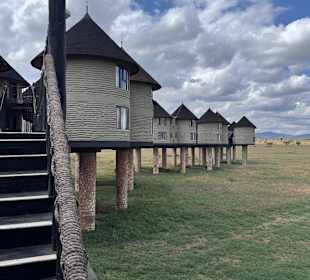 Salt Lick lodge