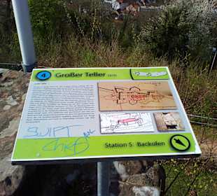 Burgruine Hohenburg in Homburg