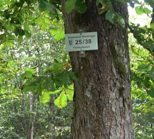 Sonnenaufgangs-Rundwanderung Rübgarten