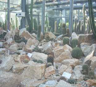 Orto botanico di Praga