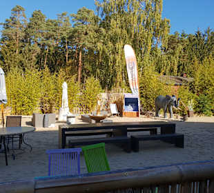 Naturpark Steinhuder Meer