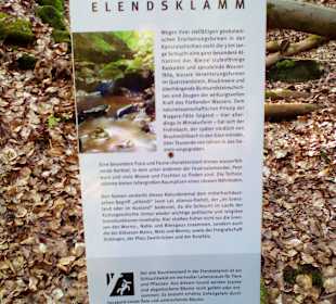Naturdenkmal Elendsklamm in Landstuhl