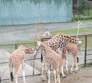 Zoo Olomouc