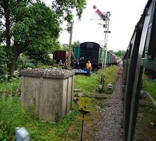 Unter Dampf von Alresford nach Alton