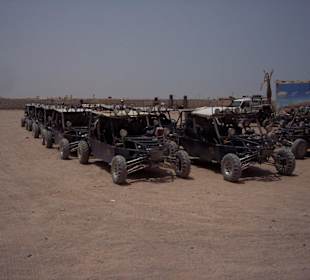 Ausflug Wüstensafari