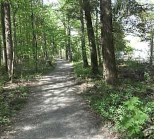 Wanderweg Hochgehwachsen
