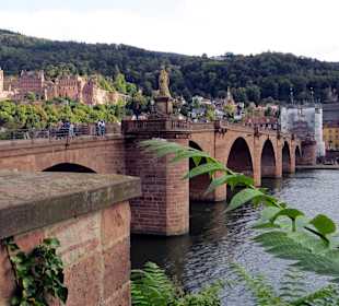 Schloss Heidelberg