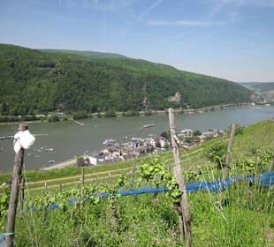 Impressionen Kräuterweg in Assmannshausen