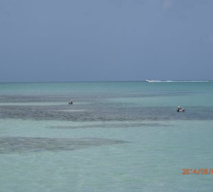 Pause auf dem Weg nach Saona mit Besuch