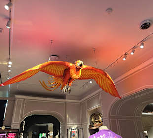 Harry Potter New York Store