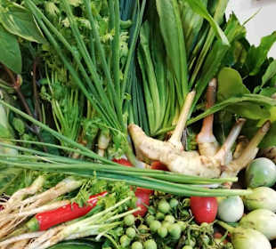 Kräuter und Gemüse vom Markt 