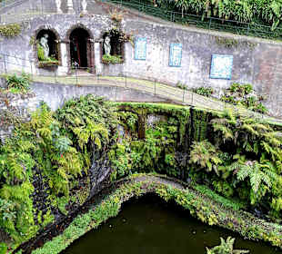 Botanischer Garten Monte Palace