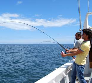Fishing Trips (Reef Fishing)