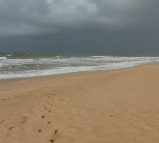 Strand im Park Natural Ria Formosa