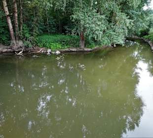 Blick auf den Roten Main am Zusammenfluss
