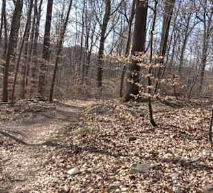 Geologischer Lehrpfad Kirnbachtal
