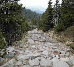 Berg Schneekoppe/Śnieżka