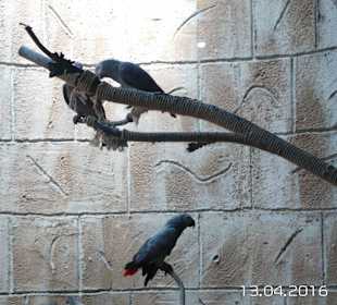 Discovery Park Manavgat