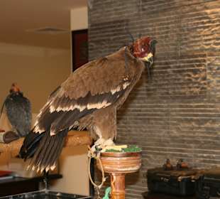 Die Vögel