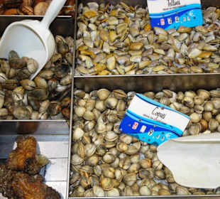 Im Fischgeschäft am Hafen von Port Vendres