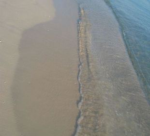 Ausflug Giftun Insel