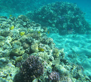 Морской пейзаж