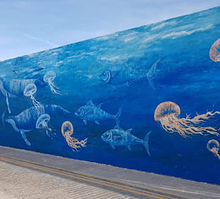 Wandern Novo Sancti Petri