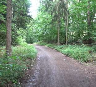 Schutzgebiet Spitzberg, Pfaffenberg