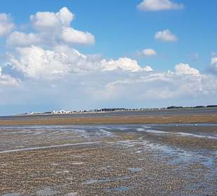 Wattenmeer 