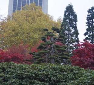 Parkanlage Planten un Blomen