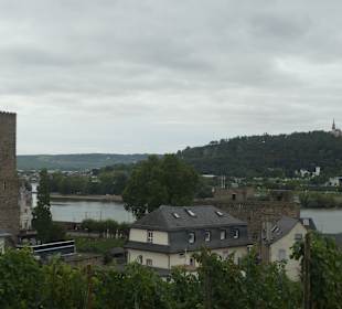 Bei unseren Wanderungen bei Rüdesheim