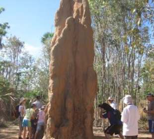 Ein Kathedrale als Werk von 50 Jahren