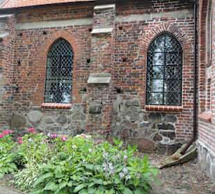 Wygląd zewnętrzny