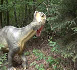 Dinosaurier Museum Altmühltal