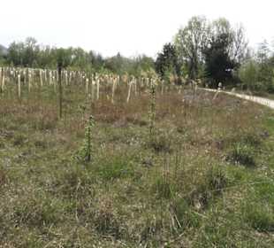 Wanderweg Firstwaldrunde