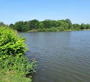 Blick über den Krimpelsee