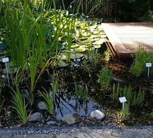Botanischer Garten 