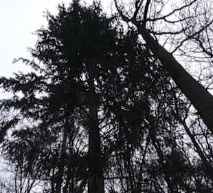 Wildpark Eichert