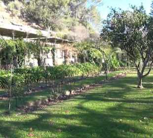 Gartenanlage - Spektakel im Garten