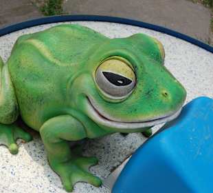 Hindernis Frosch