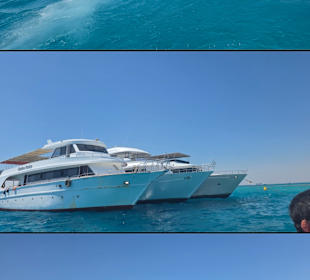 Die Bote von Flash tours 