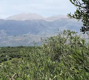 Wandern Riverwalk Plakias