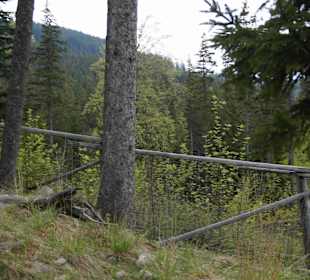 Berg Schneekoppe/Śnieżka