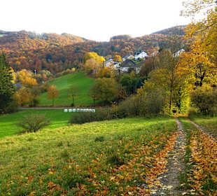 Wandern Brilon