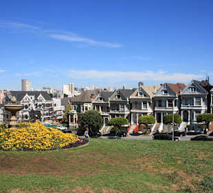 Painted Ladies