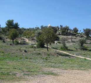 Monografisches Museum und Punische Nekropole von P