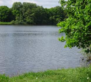 Impressionen vom Rundgang um den Tweelbäker See